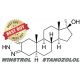 Best Stanozolol / Winstrol for sale